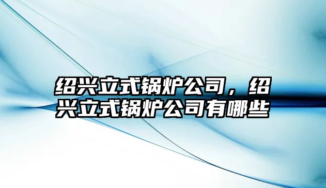 紹興立式鍋爐公司，紹興立式鍋爐公司有哪些