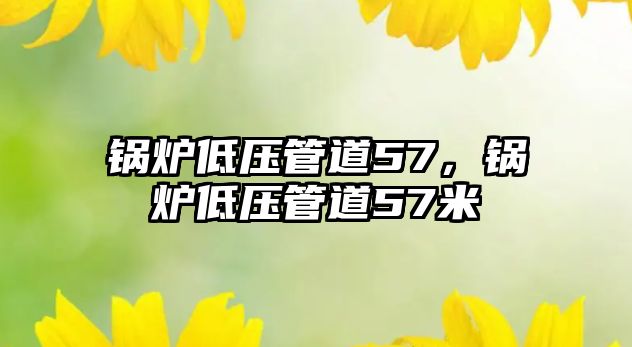 鍋爐低壓管道57，鍋爐低壓管道57米