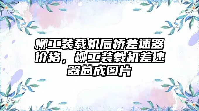 柳工裝載機后橋差速器價格，柳工裝載機差速器總成圖片