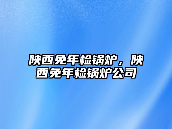 陜西免年檢鍋爐，陜西免年檢鍋爐公司