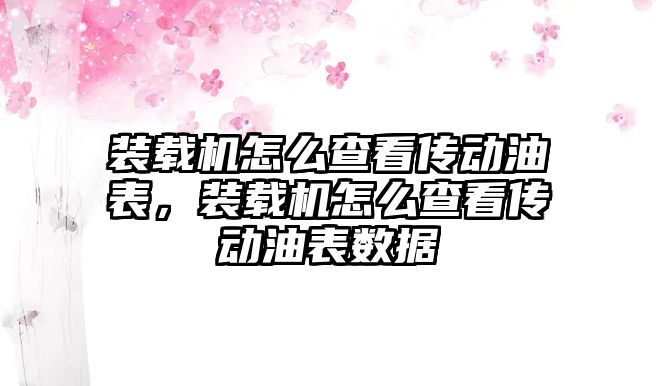 裝載機怎么查看傳動油表，裝載機怎么查看傳動油表數(shù)據(jù)