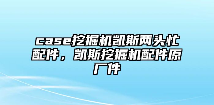 case挖掘機(jī)凱斯兩頭忙配件，凱斯挖掘機(jī)配件原廠件