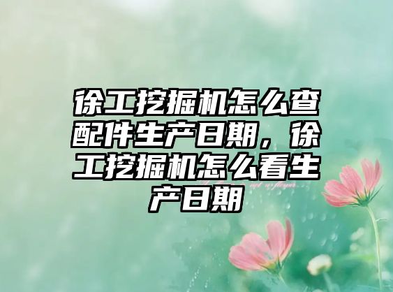 徐工挖掘機怎么查配件生產(chǎn)日期，徐工挖掘機怎么看生產(chǎn)日期