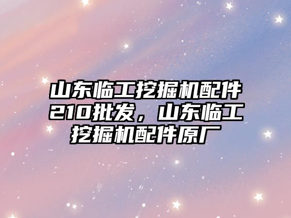 山東臨工挖掘機(jī)配件210批發(fā)，山東臨工挖掘機(jī)配件原廠