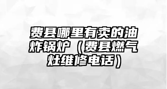 費(fèi)縣哪里有賣(mài)的油炸鍋爐（費(fèi)縣燃?xì)庠罹S修電話）