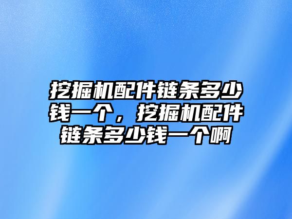 挖掘機(jī)配件鏈條多少錢一個(gè)，挖掘機(jī)配件鏈條多少錢一個(gè)啊