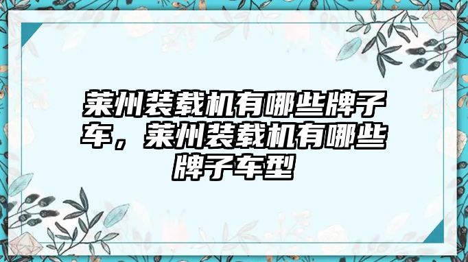 萊州裝載機有哪些牌子車，萊州裝載機有哪些牌子車型