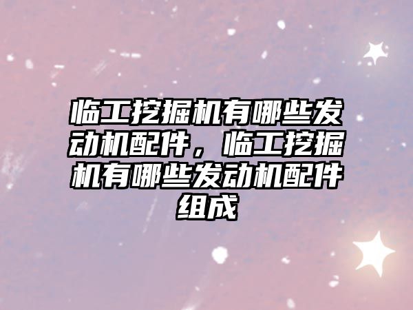 臨工挖掘機有哪些發(fā)動機配件，臨工挖掘機有哪些發(fā)動機配件組成