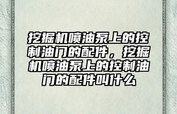 挖掘機噴油泵上的控制油門的配件，挖掘機噴油泵上的控制油門的配件叫什么