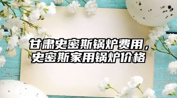 甘肅史密斯鍋爐費用，史密斯家用鍋爐價格