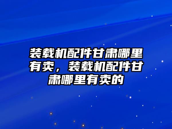 裝載機配件甘肅哪里有賣，裝載機配件甘肅哪里有賣的