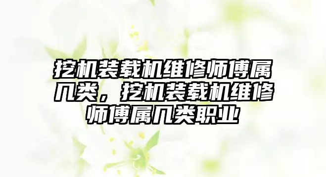 挖機裝載機維修師傅屬幾類，挖機裝載機維修師傅屬幾類職業(yè)