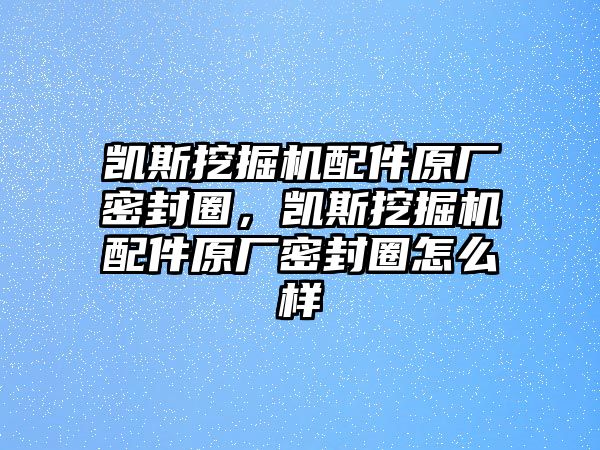 凱斯挖掘機(jī)配件原廠(chǎng)密封圈，凱斯挖掘機(jī)配件原廠(chǎng)密封圈怎么樣