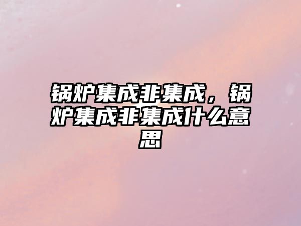 鍋爐集成非集成，鍋爐集成非集成什么意思