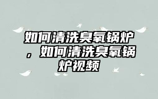 如何清洗臭氧鍋爐，如何清洗臭氧鍋爐視頻