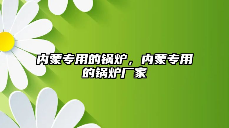 內(nèi)蒙專用的鍋爐，內(nèi)蒙專用的鍋爐廠家