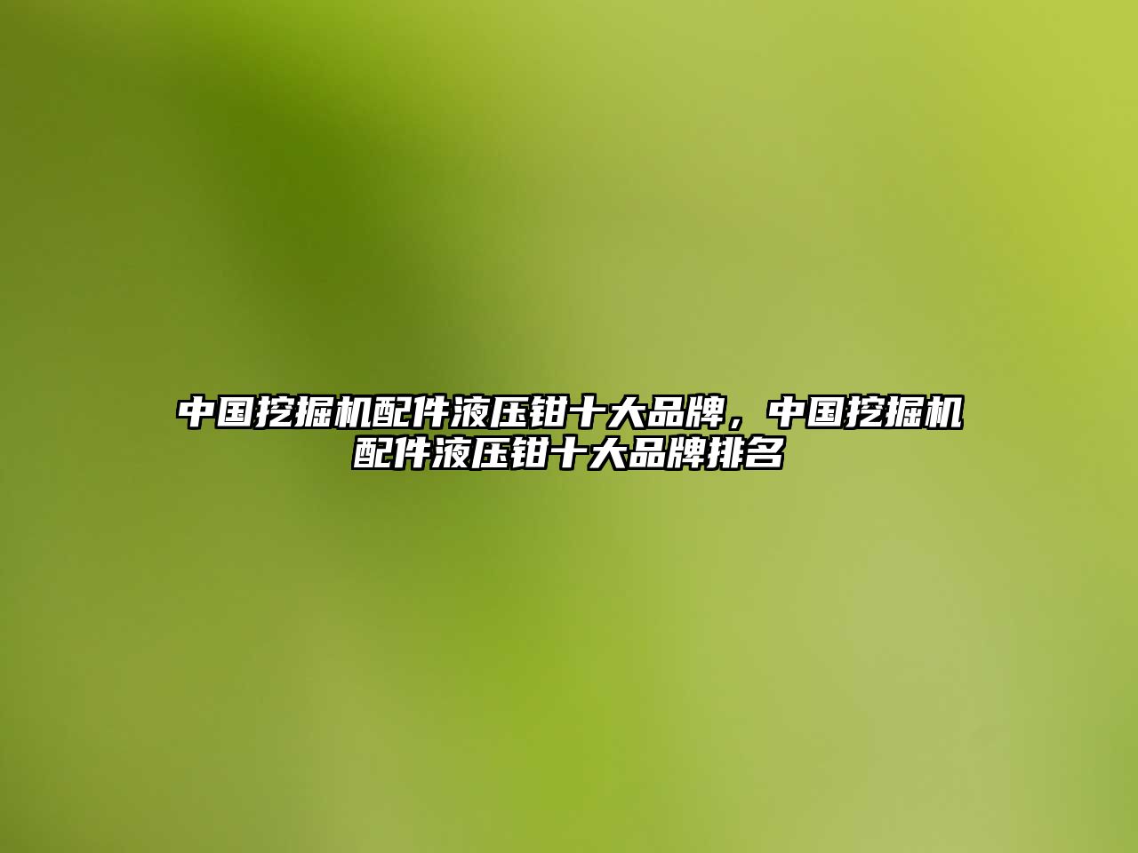 中國挖掘機配件液壓鉗十大品牌，中國挖掘機配件液壓鉗十大品牌排名