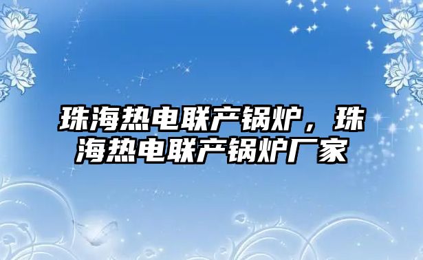 珠海熱電聯(lián)產(chǎn)鍋爐，珠海熱電聯(lián)產(chǎn)鍋爐廠家