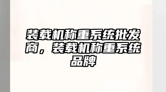 裝載機(jī)稱(chēng)重系統(tǒng)批發(fā)商，裝載機(jī)稱(chēng)重系統(tǒng)品牌