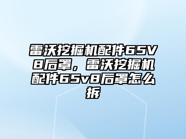 雷沃挖掘機配件65V8后罩，雷沃挖掘機配件65v8后罩怎么拆