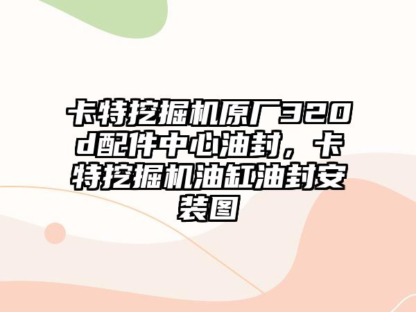 卡特挖掘機原廠320d配件中心油封，卡特挖掘機油缸油封安裝圖