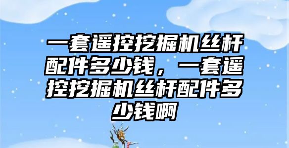 一套遙控挖掘機(jī)絲桿配件多少錢(qián)，一套遙控挖掘機(jī)絲桿配件多少錢(qián)啊