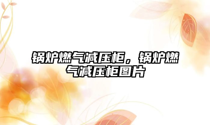 鍋爐燃?xì)鉁p壓柜，鍋爐燃?xì)鉁p壓柜圖片