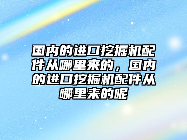 國內(nèi)的進口挖掘機配件從哪里來的，國內(nèi)的進口挖掘機配件從哪里來的呢