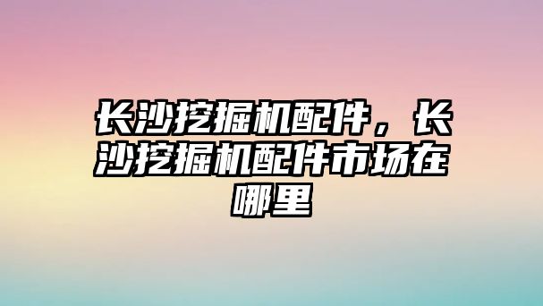 長沙挖掘機(jī)配件，長沙挖掘機(jī)配件市場在哪里