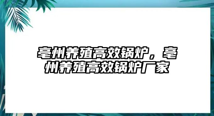 亳州養(yǎng)殖高效鍋爐，亳州養(yǎng)殖高效鍋爐廠家