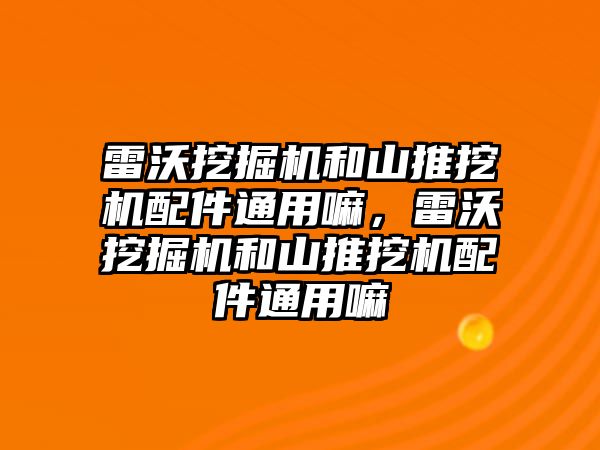 雷沃挖掘機和山推挖機配件通用嘛，雷沃挖掘機和山推挖機配件通用嘛