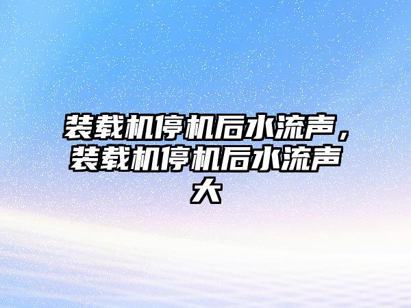 裝載機停機后水流聲，裝載機停機后水流聲大