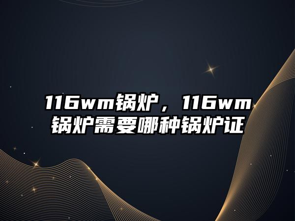 116wm鍋爐，116wm鍋爐需要哪種鍋爐證