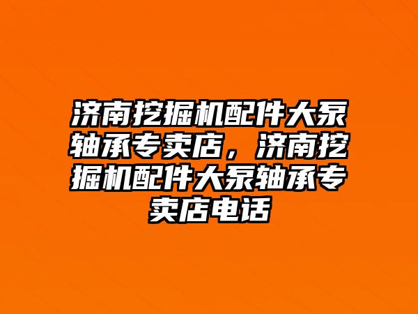 濟南挖掘機配件大泵軸承專賣店，濟南挖掘機配件大泵軸承專賣店電話