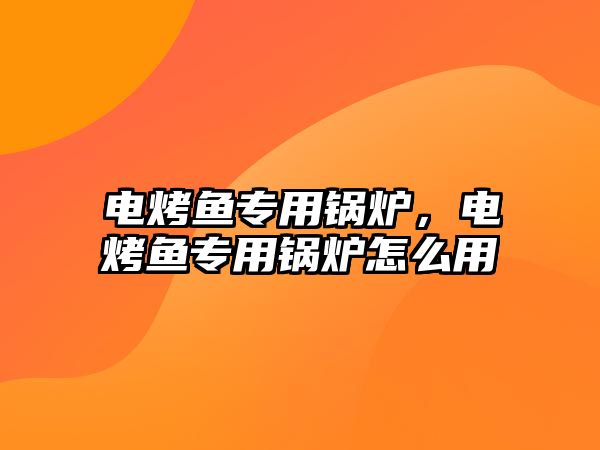 電烤魚(yú)專用鍋爐，電烤魚(yú)專用鍋爐怎么用