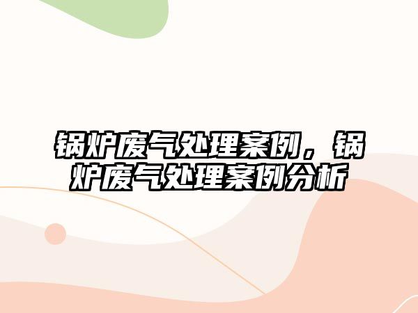 鍋爐廢氣處理案例，鍋爐廢氣處理案例分析