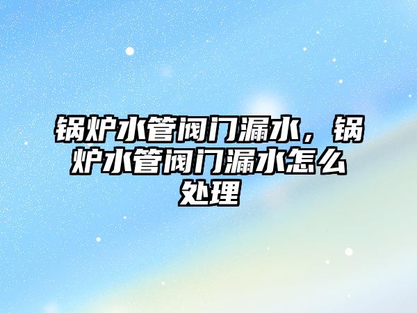 鍋爐水管閥門漏水，鍋爐水管閥門漏水怎么處理