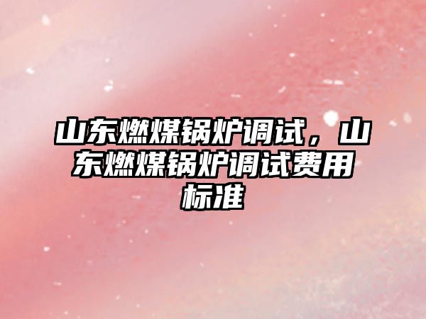 山東燃煤鍋爐調試，山東燃煤鍋爐調試費用標準