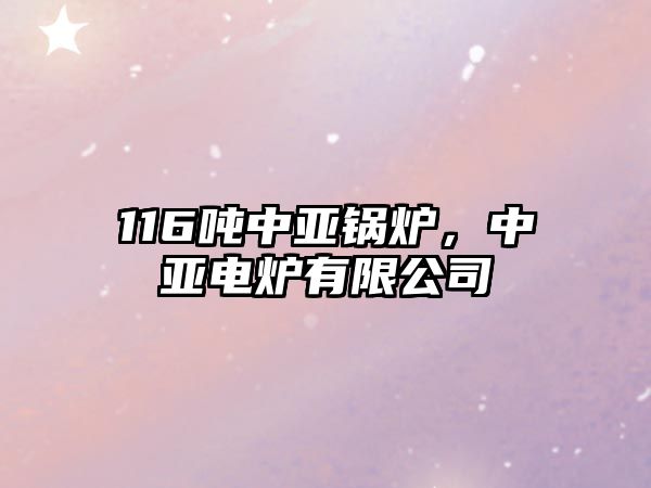 116噸中亞鍋爐，中亞電爐有限公司