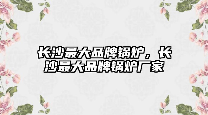 長沙最大品牌鍋爐，長沙最大品牌鍋爐廠家