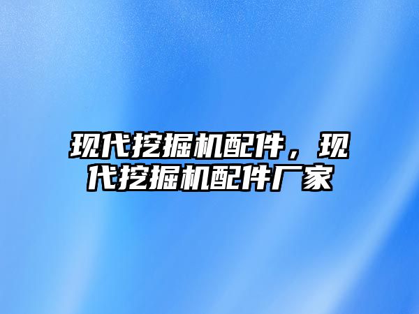 現(xiàn)代挖掘機配件，現(xiàn)代挖掘機配件廠家