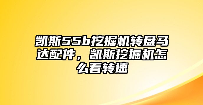 凱斯55b挖掘機(jī)轉(zhuǎn)盤馬達(dá)配件，凱斯挖掘機(jī)怎么看轉(zhuǎn)速