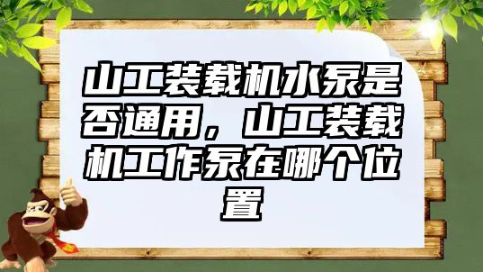 山工裝載機(jī)水泵是否通用，山工裝載機(jī)工作泵在哪個(gè)位置