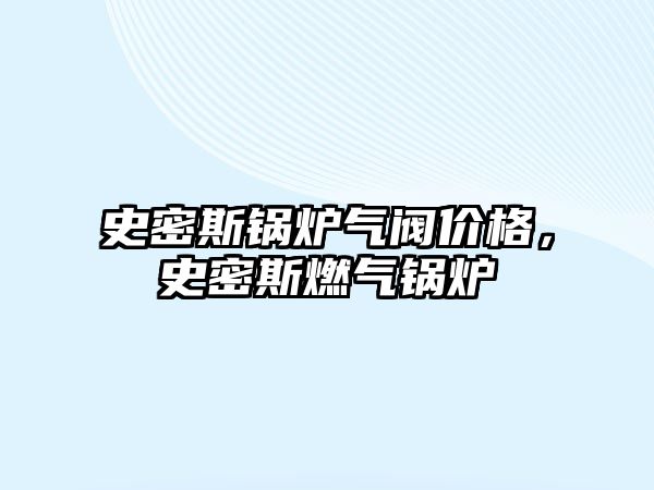 史密斯鍋爐氣閥價格，史密斯燃氣鍋爐