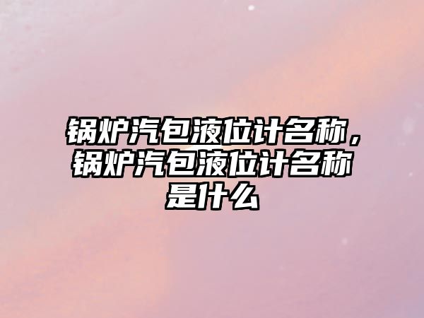 鍋爐汽包液位計(jì)名稱，鍋爐汽包液位計(jì)名稱是什么