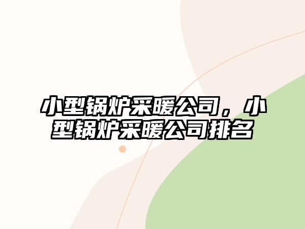 小型鍋爐采暖公司，小型鍋爐采暖公司排名