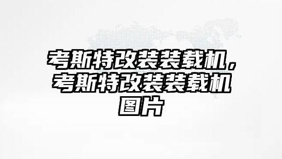 考斯特改裝裝載機(jī)，考斯特改裝裝載機(jī)圖片