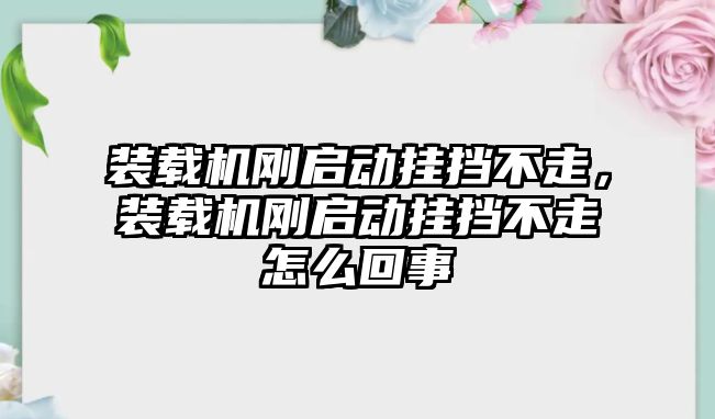 裝載機剛啟動掛擋不走，裝載機剛啟動掛擋不走怎么回事