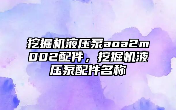 挖掘機液壓泵aoa2m002配件，挖掘機液壓泵配件名稱