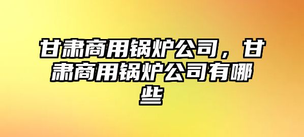 甘肅商用鍋爐公司，甘肅商用鍋爐公司有哪些